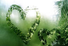 开云体育入口-中超冲刺阶段走向成谜，罗马官宣签约，更衣室稳定，控场能力受关注的简单介绍-开云体育入口